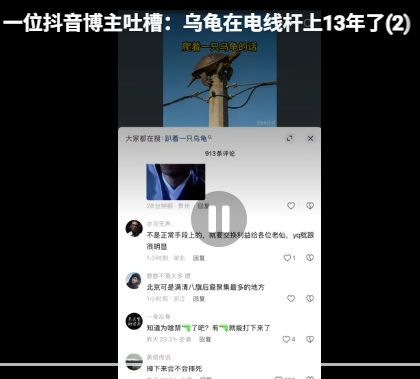 习近平新皮肤：电线杆上的乌龟