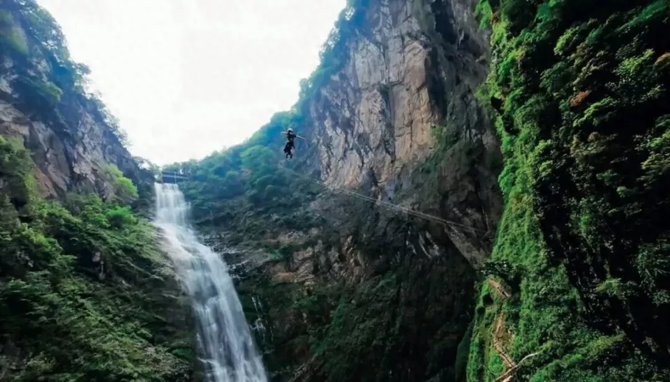 “拿到合法证件的，一个都没有”