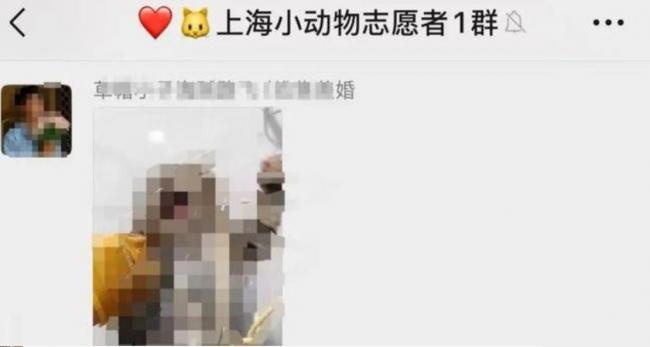 上海女子驱车1000多公里跨省报警