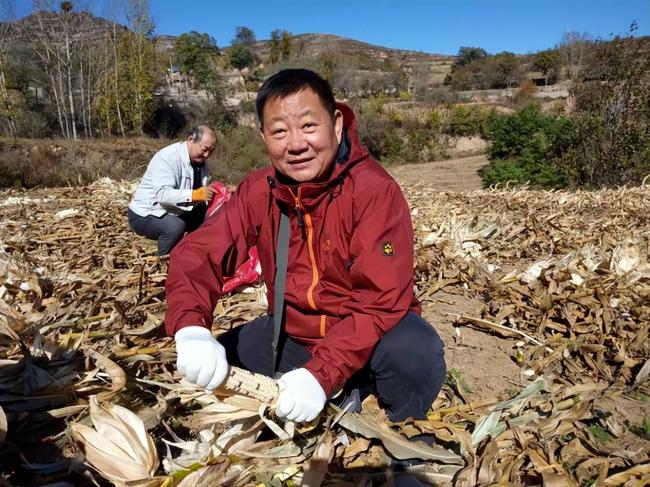 四川小伙赴内蒙捡土豆 工资到账他当场看呆
