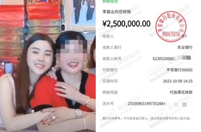 蔡天凤之母张燕花也不是好人 遭立案追逃